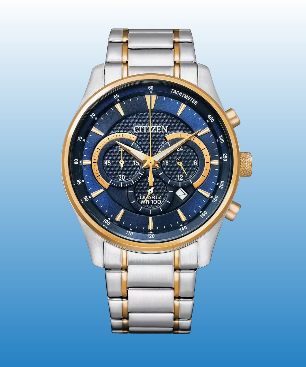 Citizen model 1